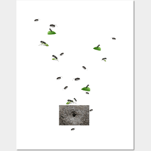 Ants go home Posters and Art